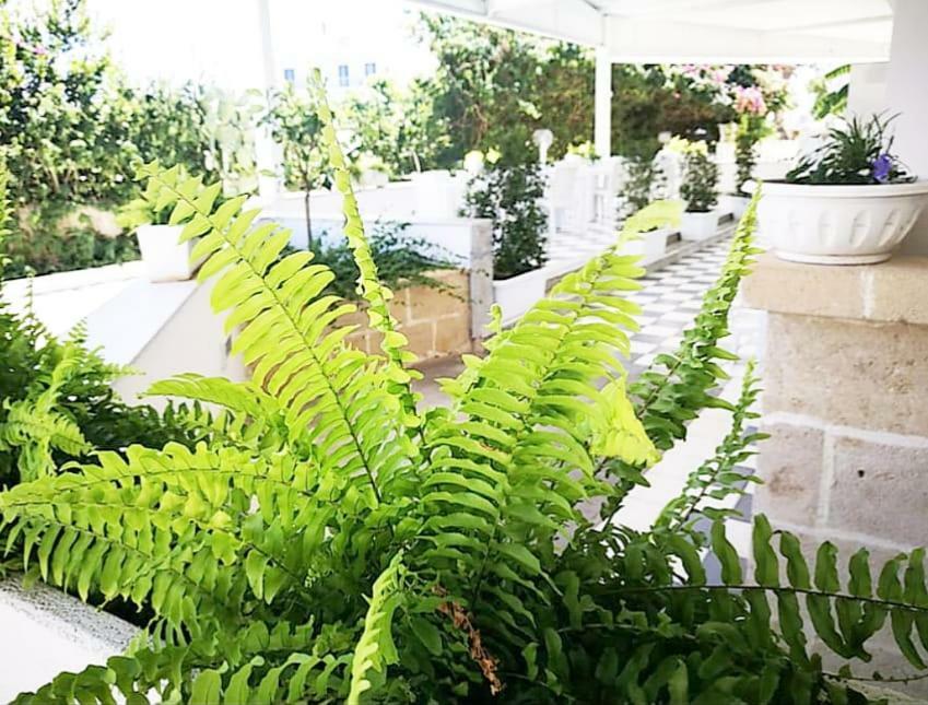 Casa Lu Salentu Hotel Torre Lapillo Ngoại thất bức ảnh